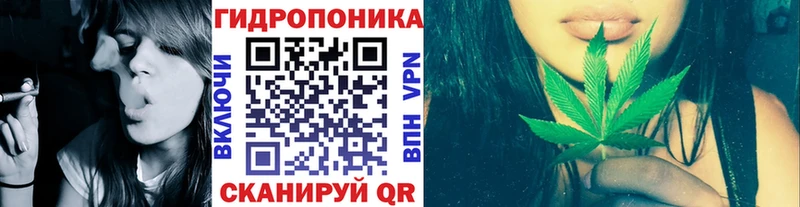 Купить закладки  Пятигорск  Бошки марихуана VHQ 